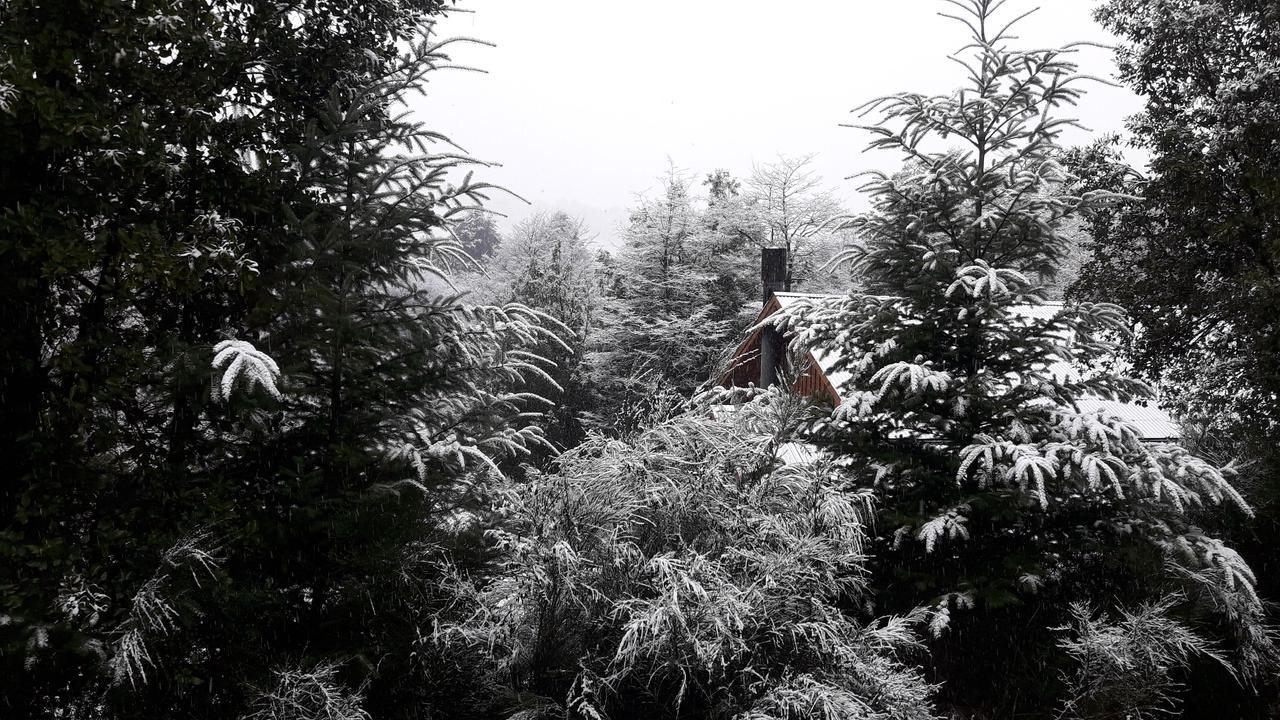 Lo De Pablo Bed & Breakfast Villa La Angostura Dış mekan fotoğraf