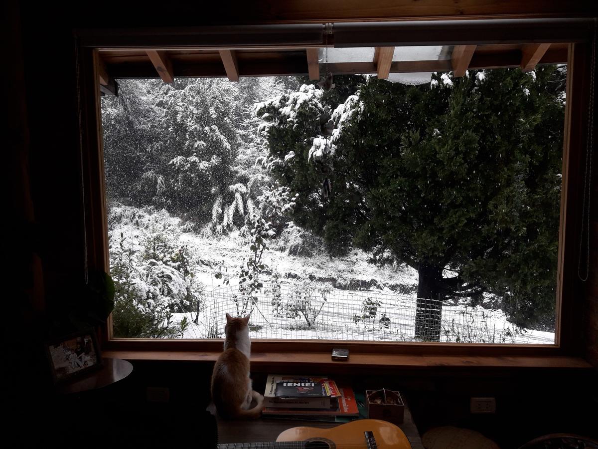 Lo De Pablo Bed & Breakfast Villa La Angostura Dış mekan fotoğraf
